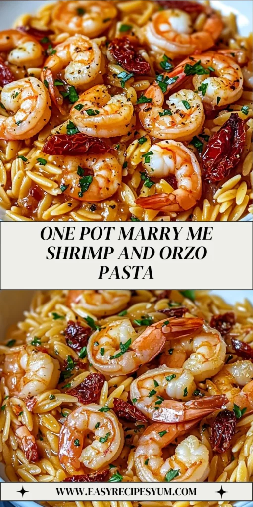 One Pot Marry Me Shrimp and Orzo Pasta