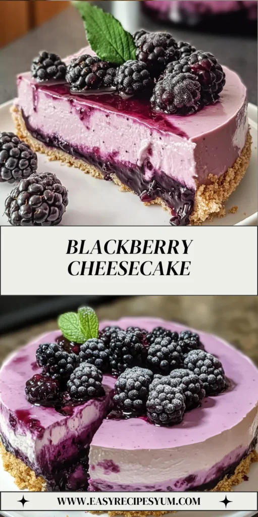 Blackberry Cheesecake