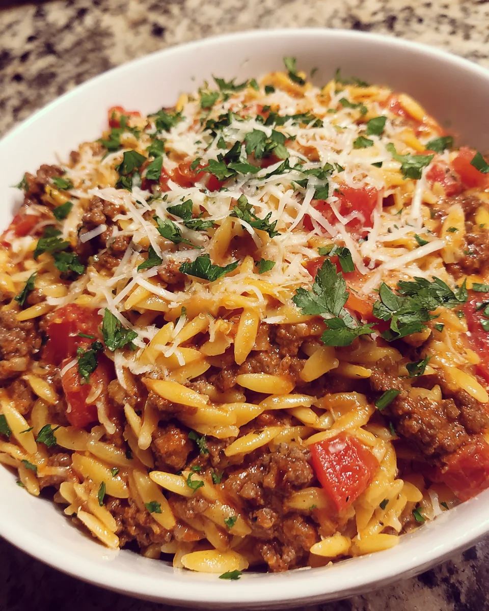 Ground Beef Orzo With Tomato Cream Sauce for Dinner Delight!